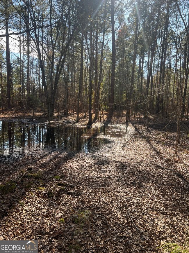 2734 Empire Chester Hwy, Home with 0 bedrooms, 0 bathrooms and null parking in cochran GA | Image 5