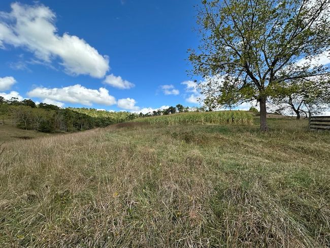 621 Point Pleasant Rd, House other with 2 bedrooms, 1 bathrooms and null parking in BLAND VA | Image 36