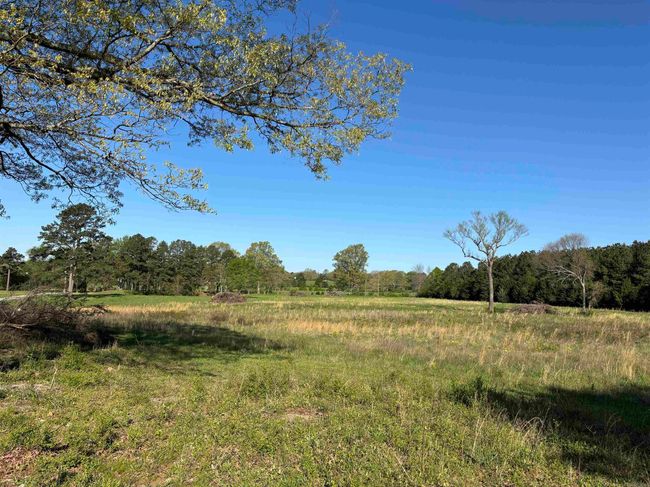 4732 Hwy 157 N Highway, Home with 3 bedrooms, 4 bathrooms and null parking in Judsonia AR | Image 39