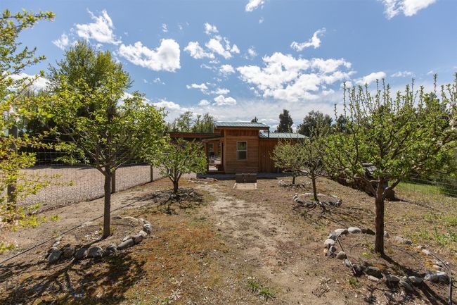orchard | Image 21