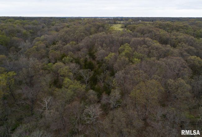 0 N Chambers Rd, Home with 0 bedrooms, 0 bathrooms and null parking in Smithfield IL | Image 39
