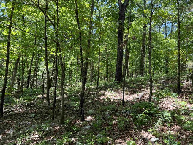 1 Eclipse Rd, Home with 0 bedrooms, 0 bathrooms and null parking in Saint Joe AR | Image 22