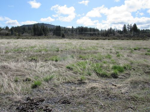 883876-0 Cattle Dr, Chiloquin, OR, 97624 | Card Image