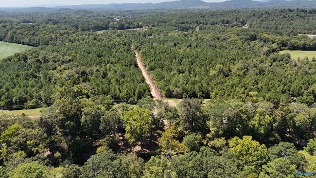 002 Hwy 68, Home with 0 bedrooms, 0 bathrooms and null parking in Gaylesville AL | Image 5