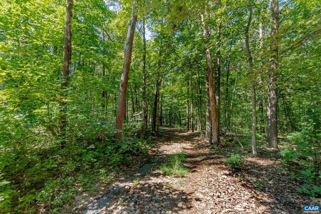 165 Fitzpatrick Rd, House other with 1 bedrooms, 1 bathrooms and null parking in BUCKINGHAM VA | Image 38