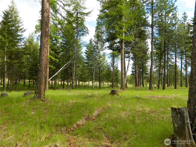 302 Summer Rd, House other with 1 bedrooms, 1 bathrooms and null parking in Tonasket WA | Image 13