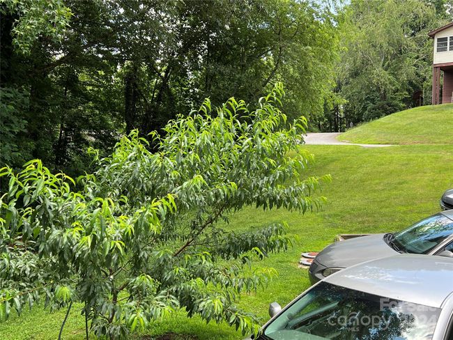 view from the from porch! | Image 22