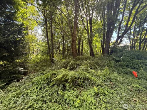 0 Cape Horn Dr, Concrete, WA, 98237 | Card Image
