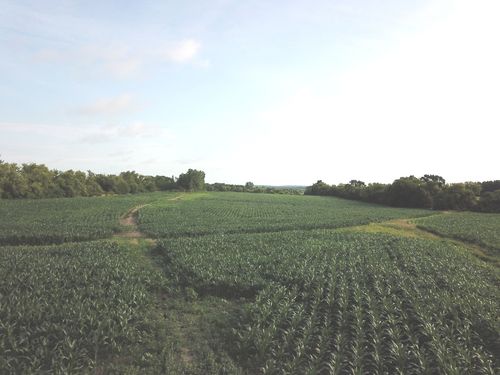 19304 Streit Rd, Harvard, IL, 60033-8439 | Card Image