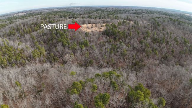 1163 Fee Hollow Ter, House other with 4 bedrooms, 3 bathrooms and null parking in Yellville AR | Image 42