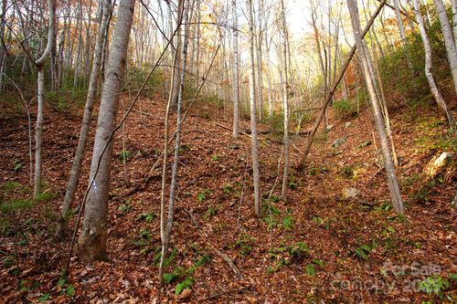 4-TBD Rector Branch Road, Marshall, NC, 28743 | Card Image