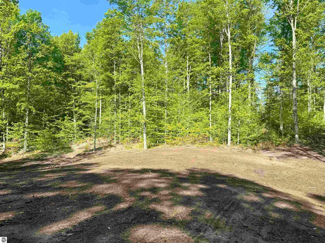 B11 E Solaris Way, Home with 0 bedrooms, 0 bathrooms and null parking in Maple City MI | Image 6