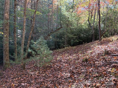 94-00 Caddis Ln, Horse Shoe, NC, 28742 | Card Image