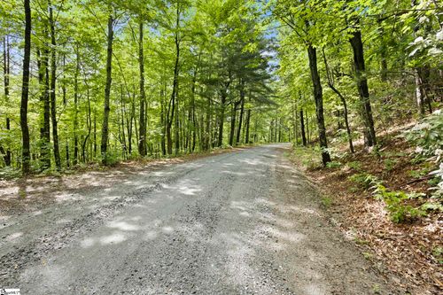 430 N Lakeview Dr, Saluda, NC, 28773 | Card Image