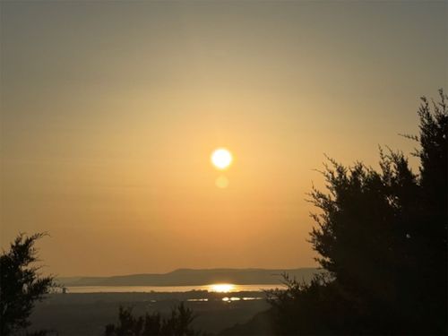 1397 Canyon Wren South Loop, Graford, TX, 76449 | Card Image