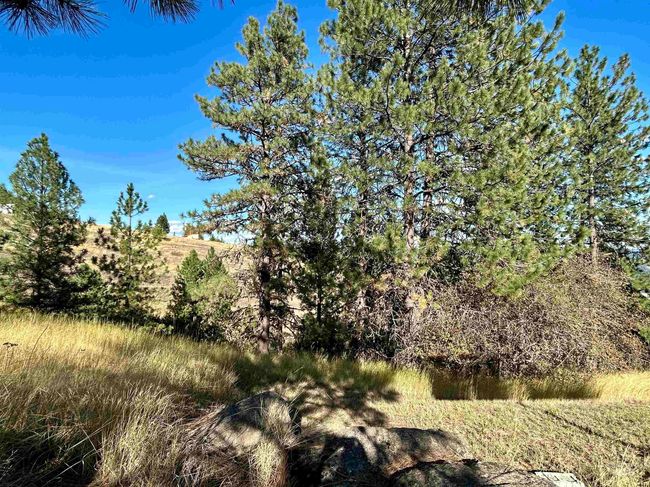 1510 Summitview Dr, House other with 2 bedrooms, 1 bathrooms and null parking in Orofino ID | Image 43