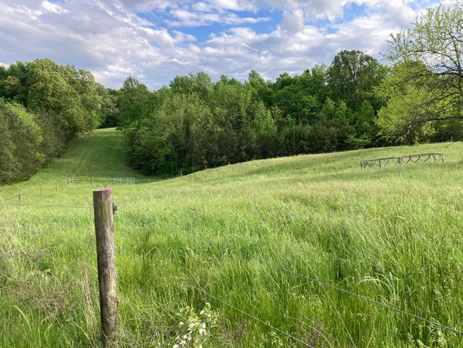 265 - 24265 S Mohawk Rd, Home with 0 bedrooms, 0 bathrooms and null parking in Mohawk TN | Image 9
