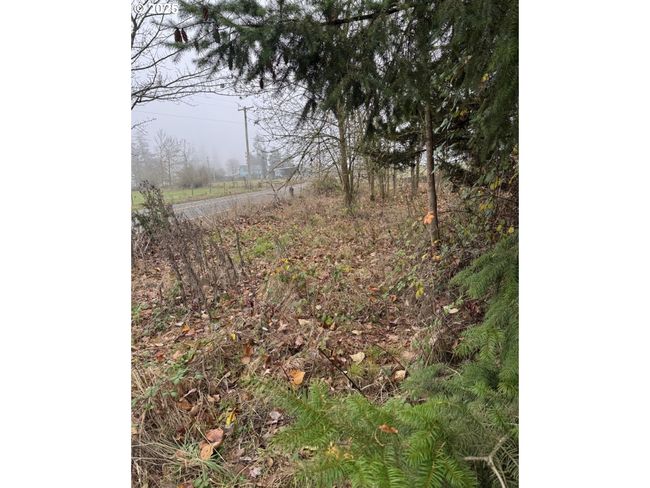 12192 S Mulino Rd, House other with 3 bedrooms, 1 bathrooms and null parking in Canby OR | Image 22