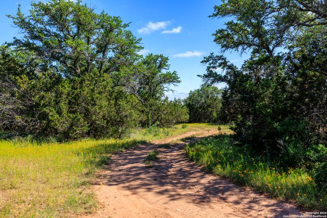 0000 Langes Mill Rd, Home with 0 bedrooms, 0 bathrooms and null parking in Doss TX | Image 20