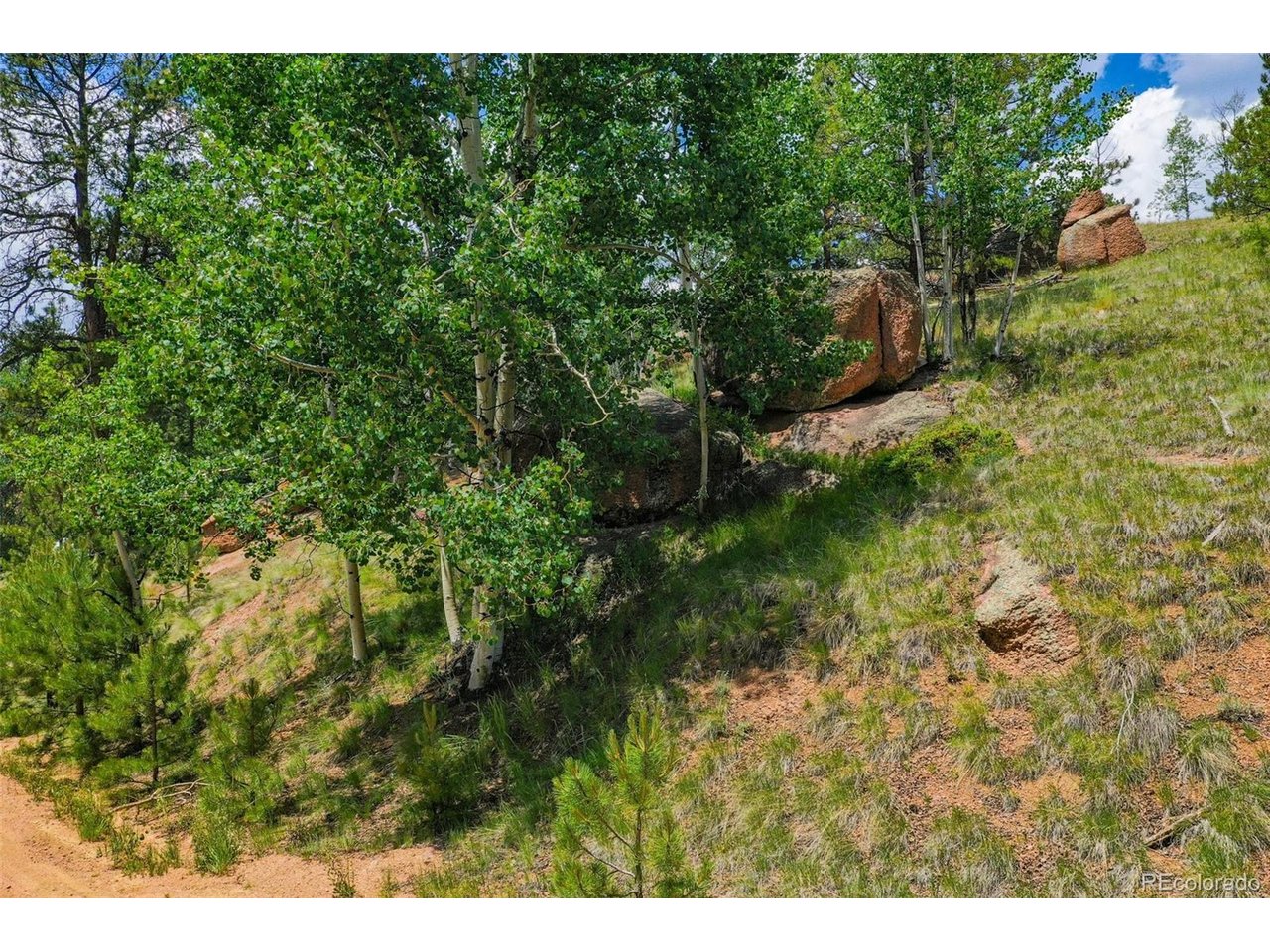 Land in Florissant 4