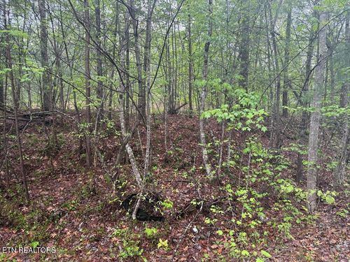 0 Muddy Branch Rd, Crossville, TN, 38571 | Card Image