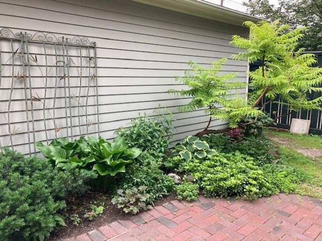 Thoughtful plantings make the courtyard a leafy retreat. | Image 28