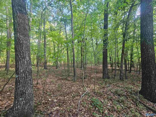 012 Toney Drive, Altoona, AL, 35952 | Card Image
