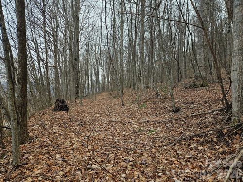 000 Slippery Rock Lane, Waynesville, NC, 28785 | Card Image