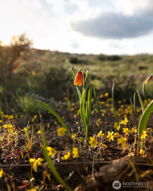 0 NKA Cowiche Mill Rd, Cowiche, WA, 98923-9766 | Card Image