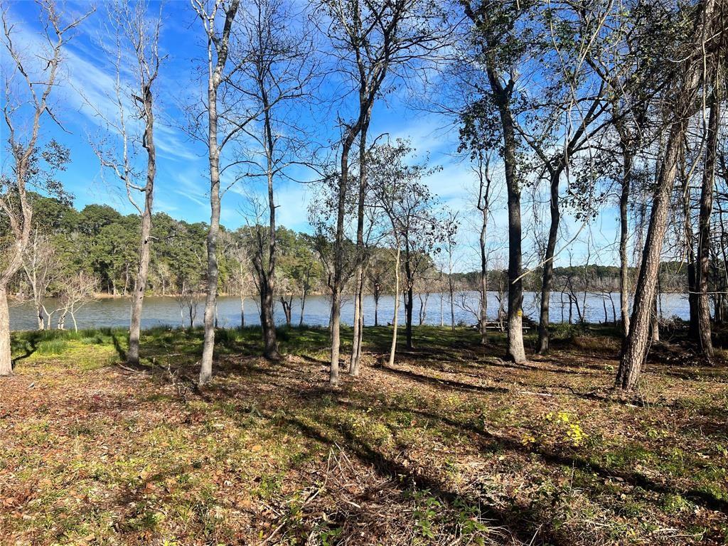 Land in Humble 3