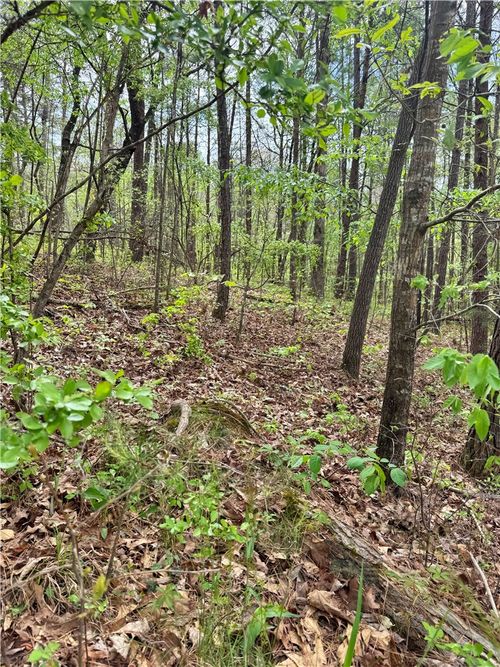 Lot 24 Marshall Dr, Mc Calla, AL, 35111 | Card Image