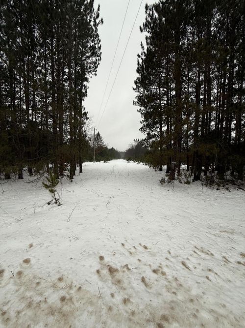 14124 Healy Lake Rd, Bear Lake, MI, 49614-9385 | Card Image