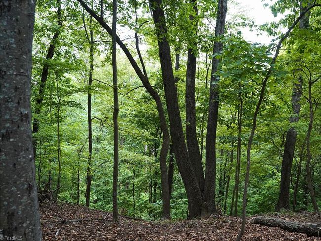 1440 Webb Mountain Rd, Home with 0 bedrooms, 0 bathrooms and null parking in Boones Mill VA | Image 17