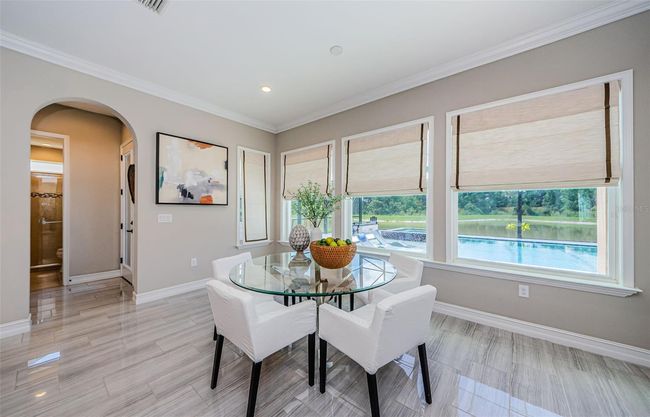 29038 Picana Ln, House other with 4 bedrooms, 4 bathrooms and null parking in WESLEY CHAPEL FL | Image 29
