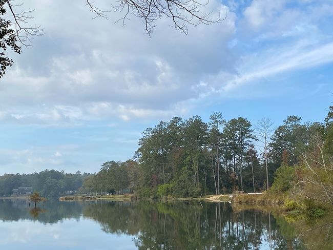 00 Rock Ranch Rd, Home with 0 bedrooms, 0 bathrooms and null parking in Picayune MS | Image 6