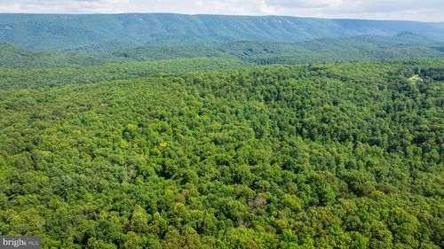Lot 1 Detour Rd, GREAT CACAPON, WV, 25422 | Card Image