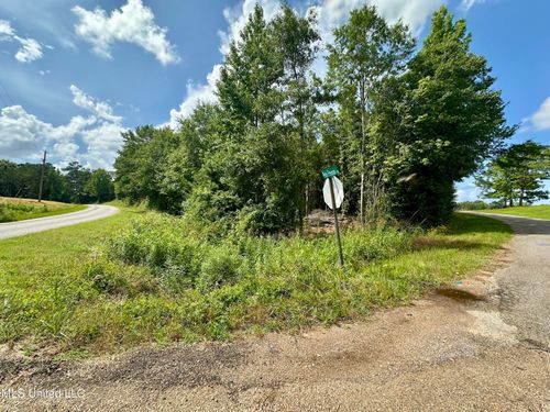 66 Pete Freeman Road Road, Decatur, MS, 39327 | Card Image