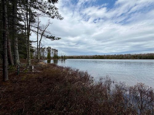 TBD Whitetail Trl, Beaver Island, MI, 49782 | Card Image
