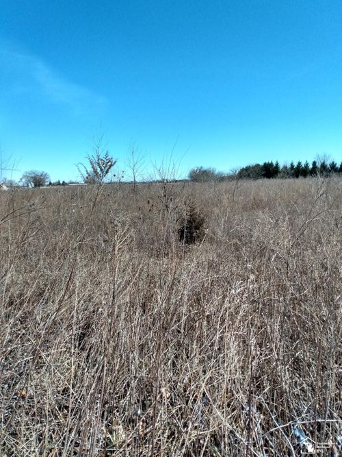 0 Lewis Ave, Ida, MI, 48140 | Card Image