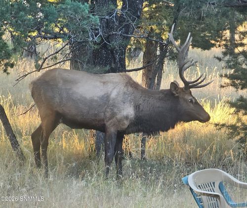 TBD Mesita Rd, Alto, NM, 88312 | Card Image