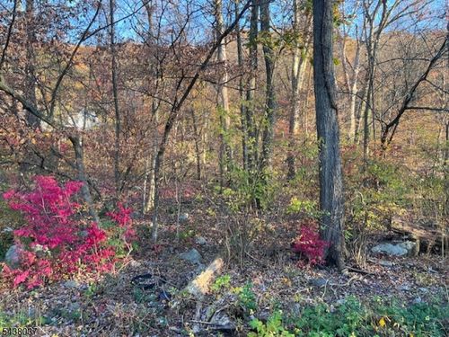 9 Old Woodland Trl, Oak Ridge, NJ, 07438-9603 | Card Image