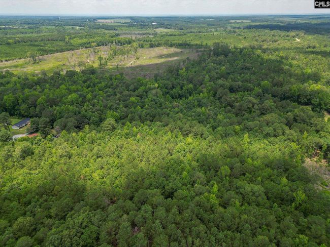 0 Mcdaniel Rd, Home with 0 bedrooms, 0 bathrooms and null parking in Rembert SC | Image 10