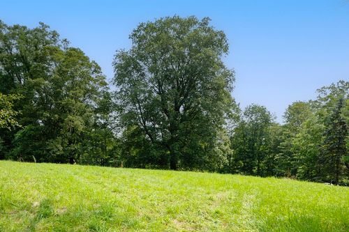 0 Willard Cmn, Concord, MA, 01742 | Card Image