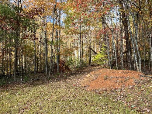 39A Hedden Stiles Rd, Murphy, NC, 28906 | Card Image