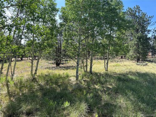 519 Hayhook Way, Hartsel, CO, 80449-8541 | Card Image