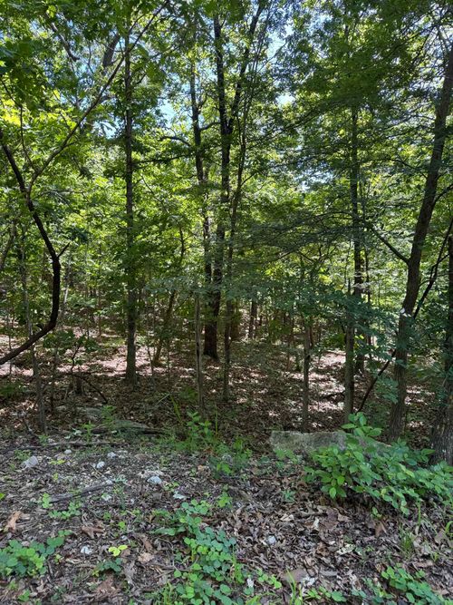 TBD Spokane Dr, Cherokee Village, AR, 72529 | Card Image
