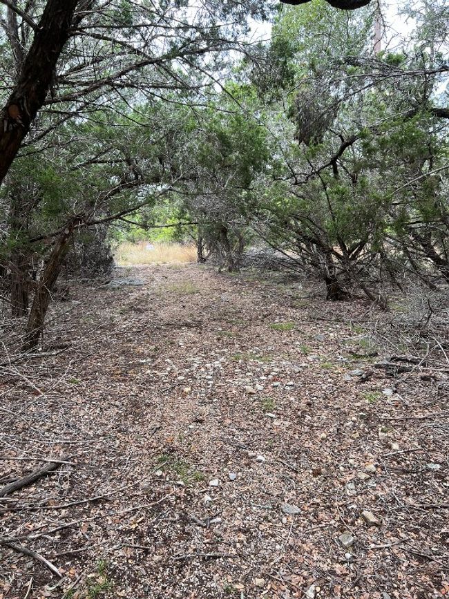 396 High Forest Dr, Home with 0 bedrooms, 0 bathrooms and null parking in Blanco TX | Image 7