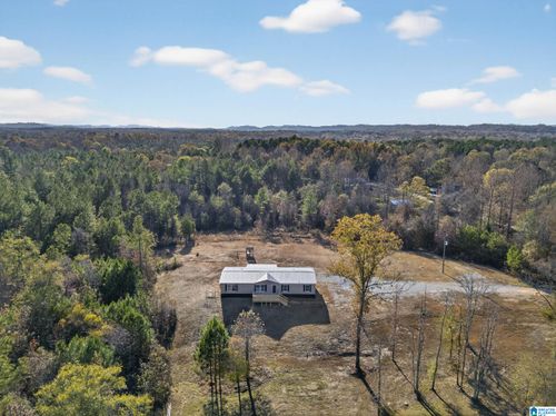 3350 Peeks Hill Rd, Ohatchee, AL, 36271-7736 | Card Image