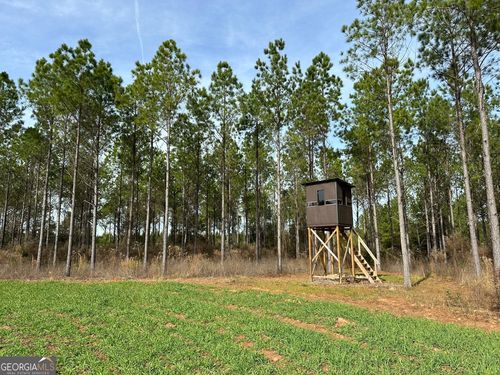 2211 Lower Shellman Rd, Cuthbert, GA, 39840 | Card Image