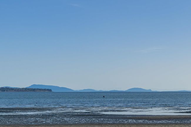 Water view with a mountain view | Image 33